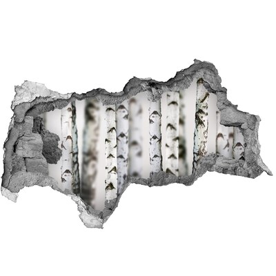 Autocollant mural trou Oasis forestière derrière le mur