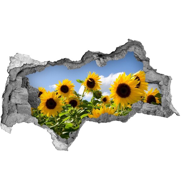 Autocollant à effet 3d trou Tournesols en plein jour