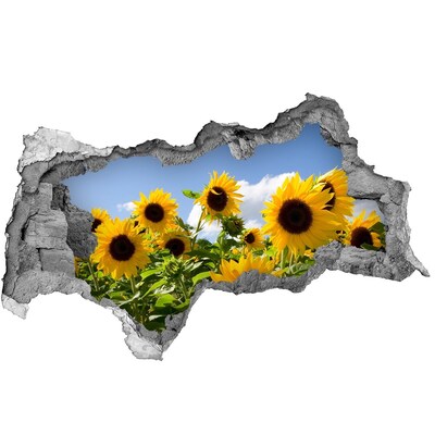 Autocollant à effet 3d trou Tournesols en plein jour