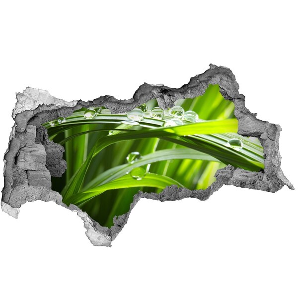 Sticker trou dans le mur Prairie verte parsemée de gouttes d'eau