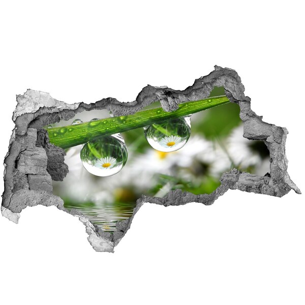 Sticker mural effet trou 3d Oasis florale avec des gouttes d'eau