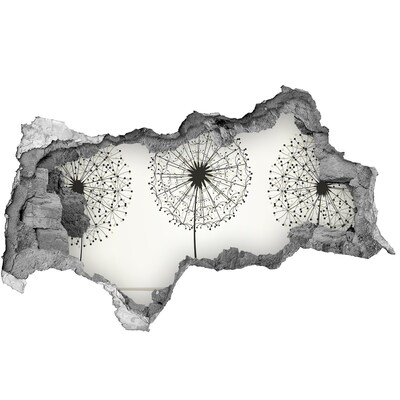 Sticker mural effet trou 3d Des pissenlits contre le mur