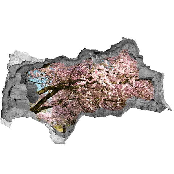 Sticker trou dans le mur Cerisiers en fleurs dans le parc printanier