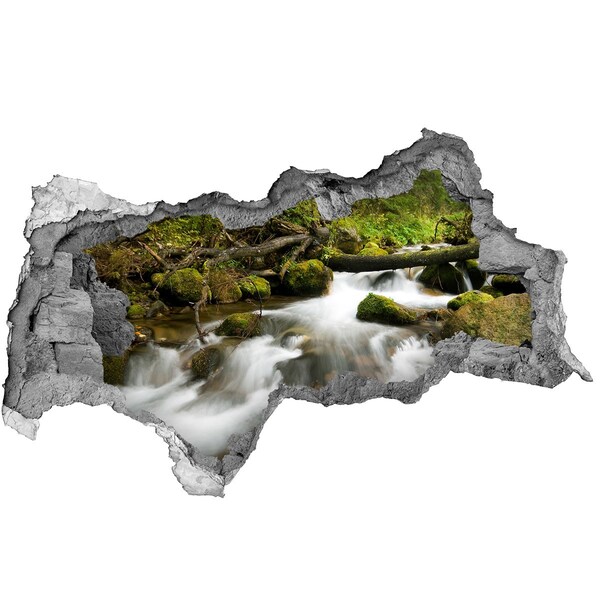 Sticker mural effet trou 3d Ruisseau vert dans la forêt