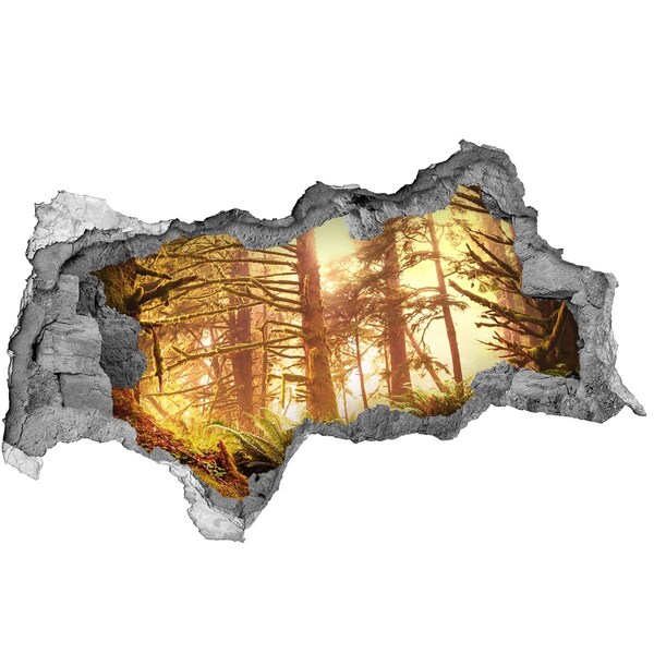 Autocollant à effet 3d trou Une oasis forestière sous le soleil