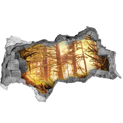 Autocollant à effet 3d trou Une oasis forestière sous le soleil