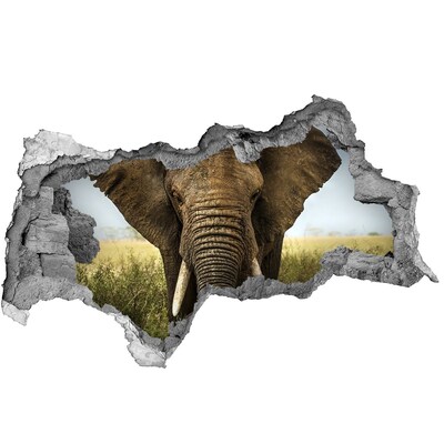 Sticker mural effet trou 3d Eléphant dans la savane béton