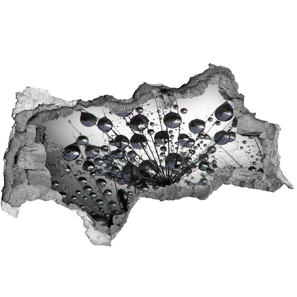 Sticker trou dans le mur Gouttes d'eau sur un pissenlit