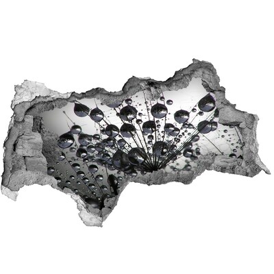 Sticker trou dans le mur Gouttes d'eau sur un pissenlit