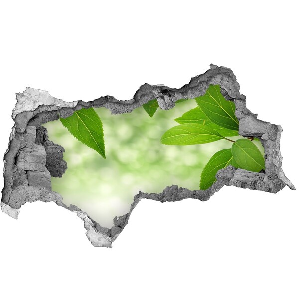 Autocollant mural trou Une oasis de verdure en béton