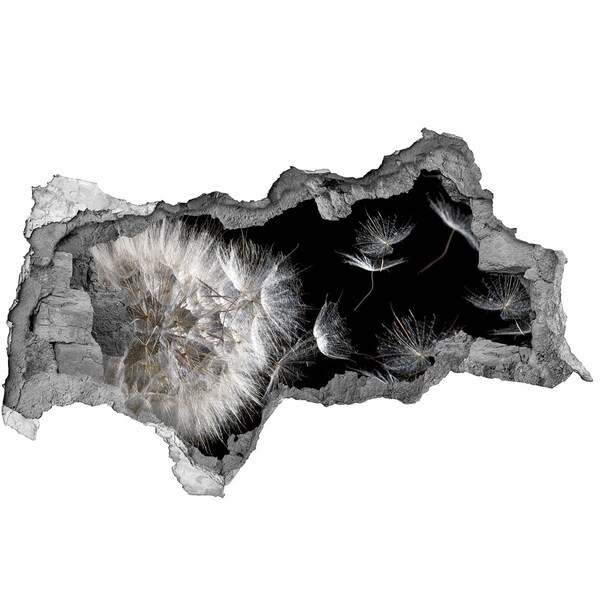 Sticker mural effet trou 3d Pissenlits dans l'espace noir