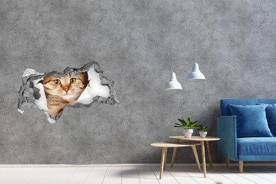 Sticker mural effet trou 3d Chat béton