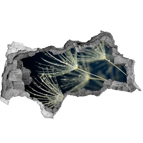 Autocollant à effet 3d trou Fleurs de pissenlit dans l'eau