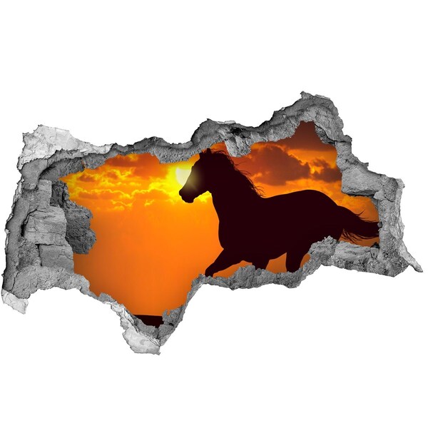 Sticker trou dans le mur Cheval au coucher du soleil