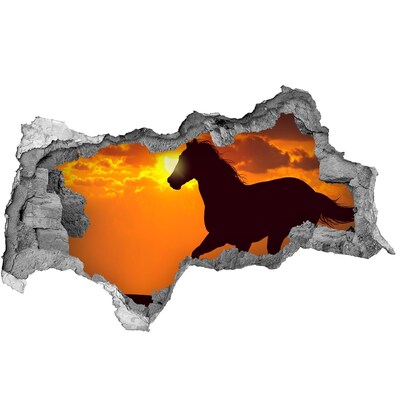 Sticker trou dans le mur Cheval au coucher du soleil