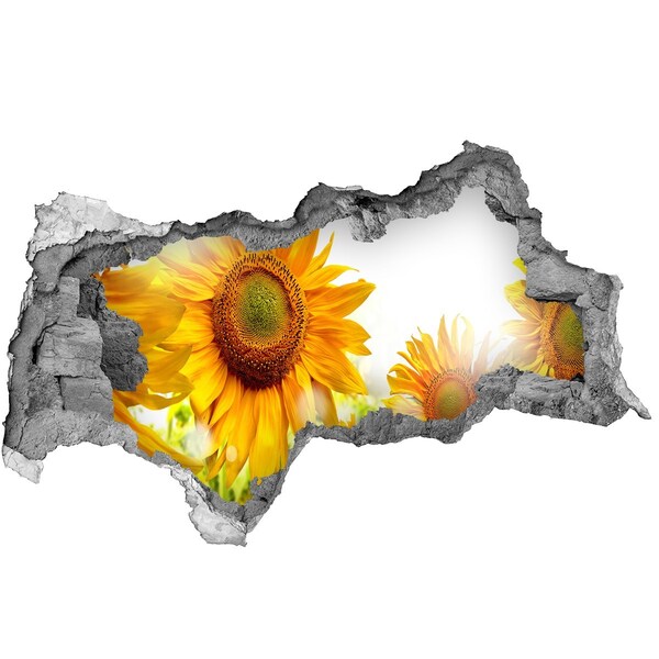 Autocollant mural trou Un rêve floral derrière le mur