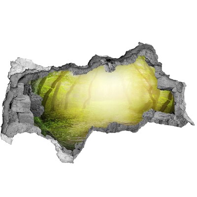 Sticker mural effet trou 3d Forêt verte sous les rayons du soleil