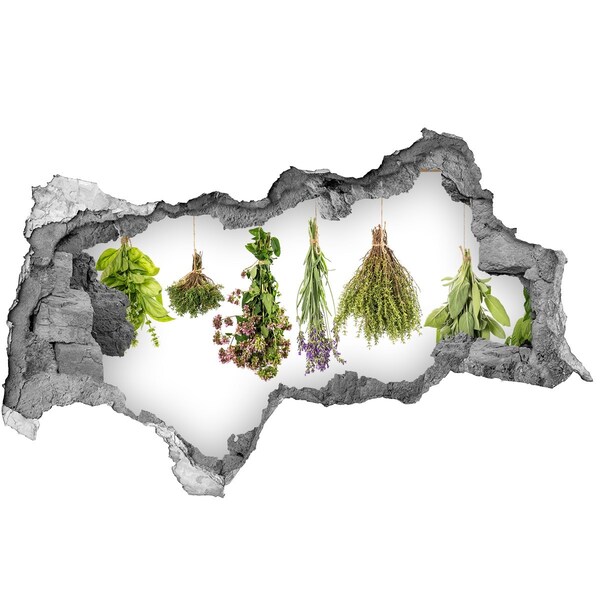 Sticker trou dans le mur Coin herbes aromatiques dans la cuisine