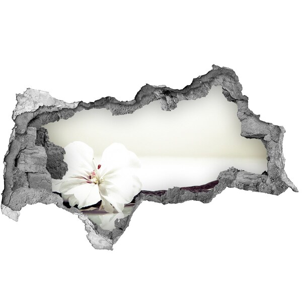 Sticker trou dans le mur Vue florale à travers le mur