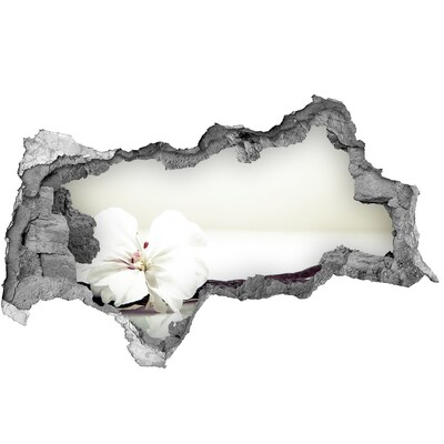 Sticker trou dans le mur Vue florale à travers le mur