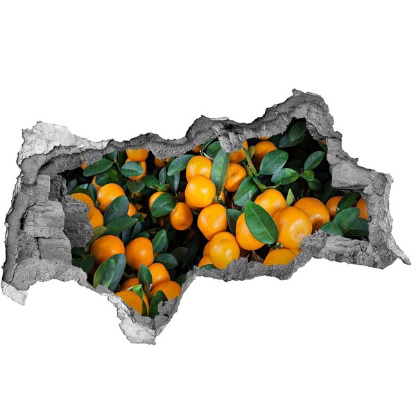 Sticker mural effet trou 3d Fruits dans l'orangerie