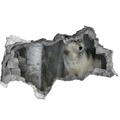Sticker mural effet trou 3d Le loup dans son habitat naturel
