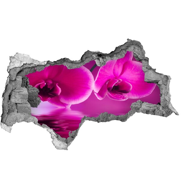 Sticker mural effet trou 3d Un paradis floral aux nuances de rose