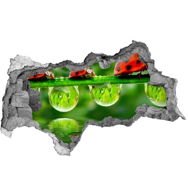 Autocollant à effet 3d trou Une goutte de nature avec une coccinelle