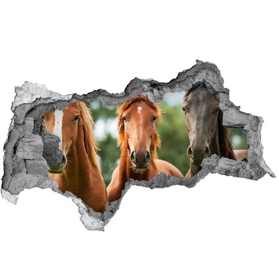 Sticker mural effet trou 3d Les chevaux dans leur habitat naturel