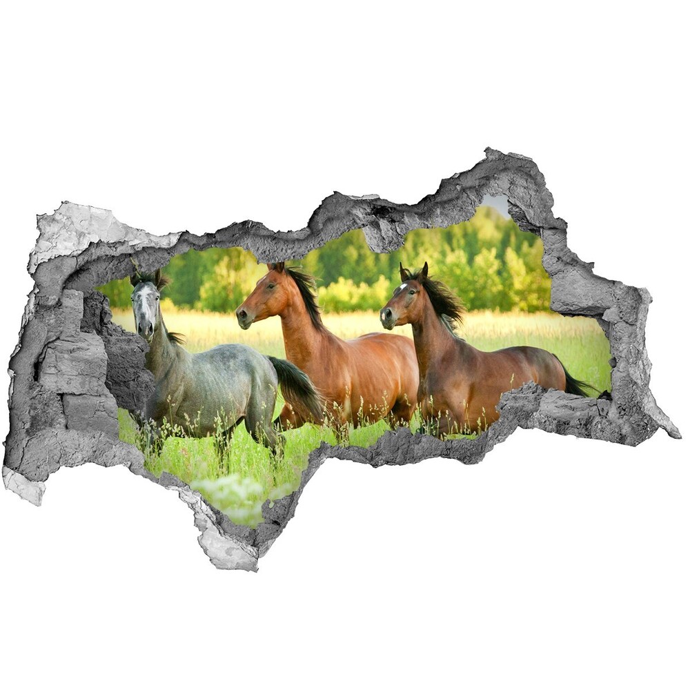 Autocollant à effet 3d trou Chevaux au galop béton