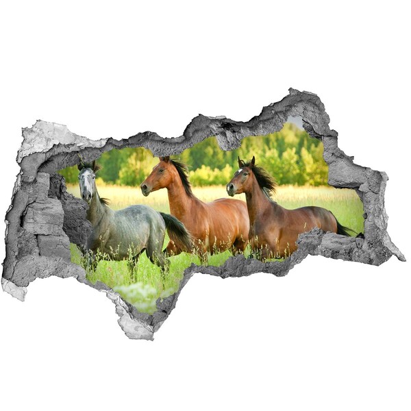 Autocollant à effet 3d trou Chevaux galopant dans la nature