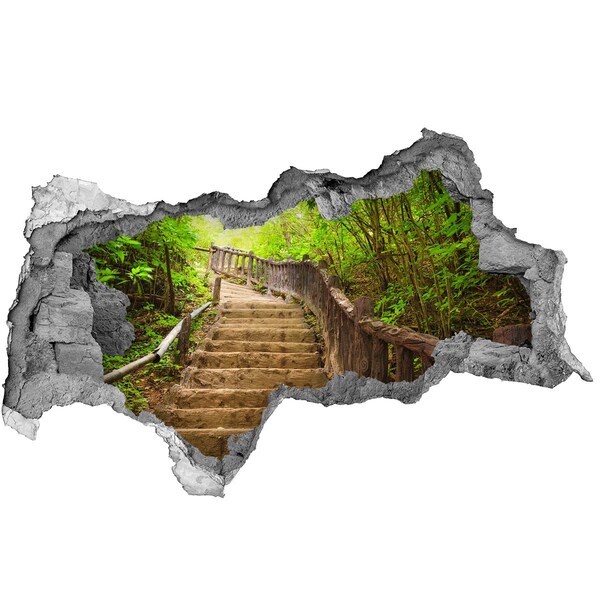 Sticker trou dans le mur Sentier forestier dans les montagnes