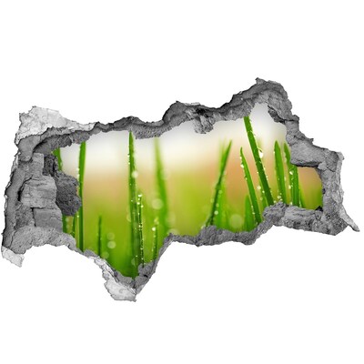 Sticker trou dans le mur Prairie verte parsemée de gouttes d'eau