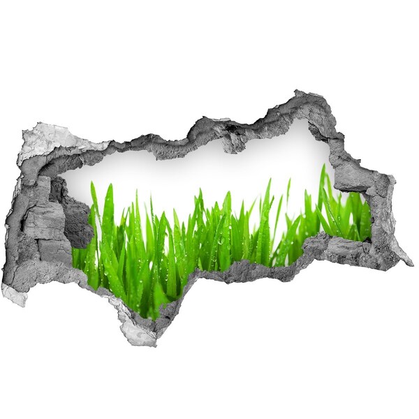 Autocollant à effet 3d trou Prairie verte à travers un trou dans le mur