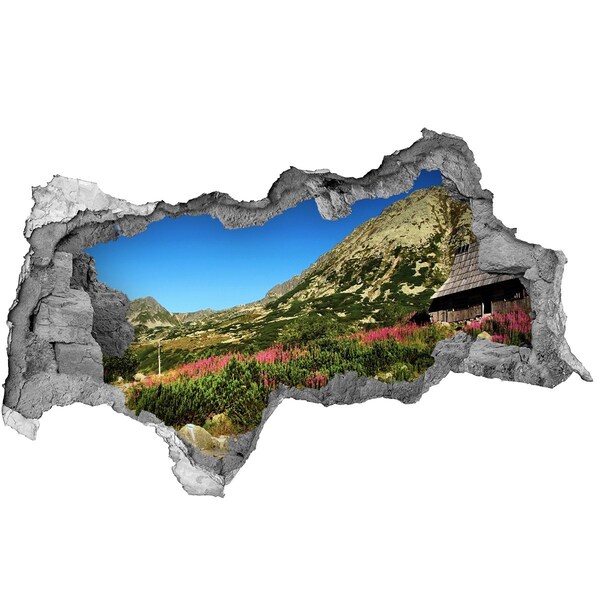 Sticker mural effet trou 3d Cabane de berger dans une vallée béton