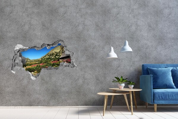 Sticker mural effet trou 3d Cabane de berger dans une vallée béton