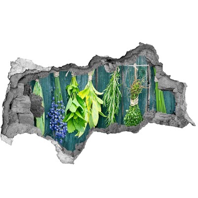 Autocollant mural trou Herbes sur un fil béton