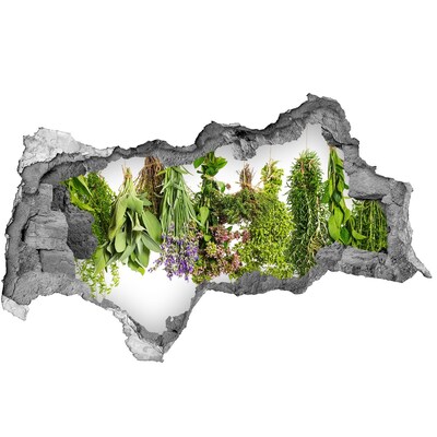 Sticker mural effet trou 3d jardin d'herbes aromatiques
