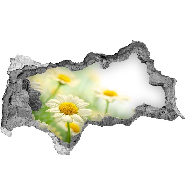 Sticker mural effet trou 3d Un paradis fleuri derrière le mur