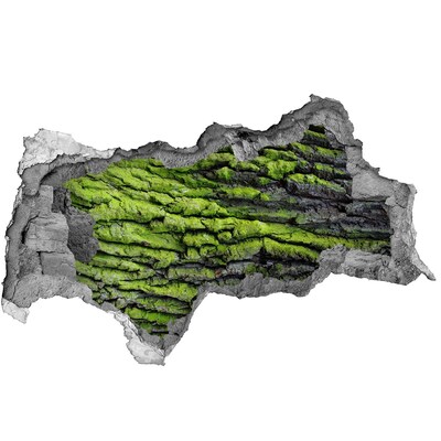 Autocollant mural trou Pierre verte dans le trou