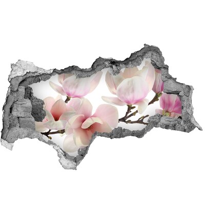 Sticker trou dans le mur Des fleurs de magnolia apparaissent à travers un trou dans le mur