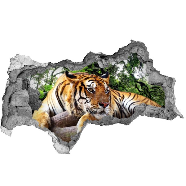 Sticker mural effet trou 3d Tigre dans la jungle