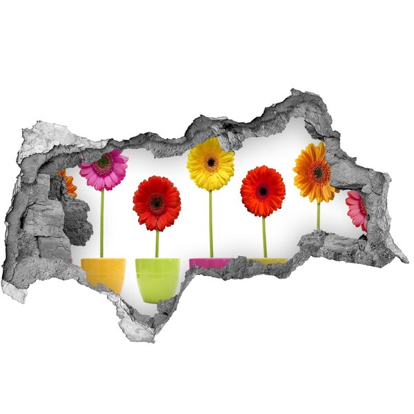 Sticker mural effet trou 3d Des fleurs en pot à travers un trou dans le mur