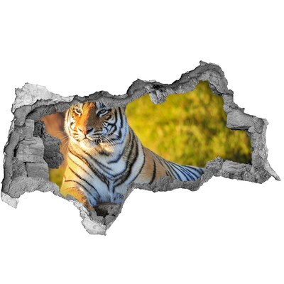 Autocollant à effet 3d trou Le tigre dans son habitat naturel