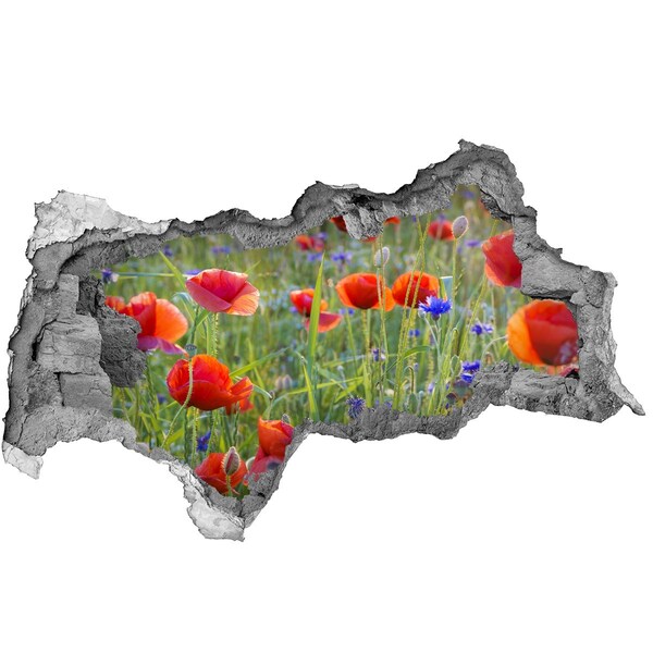 Autocollant à effet 3d trou Un paradis fleuri derrière le mur