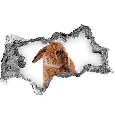 Sticker mural effet trou 3d Lapin dans un trou dans le mur