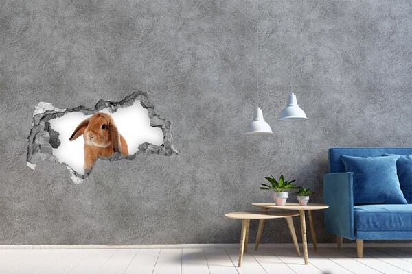 Sticker mural effet trou 3d Lapin dans un trou dans le mur