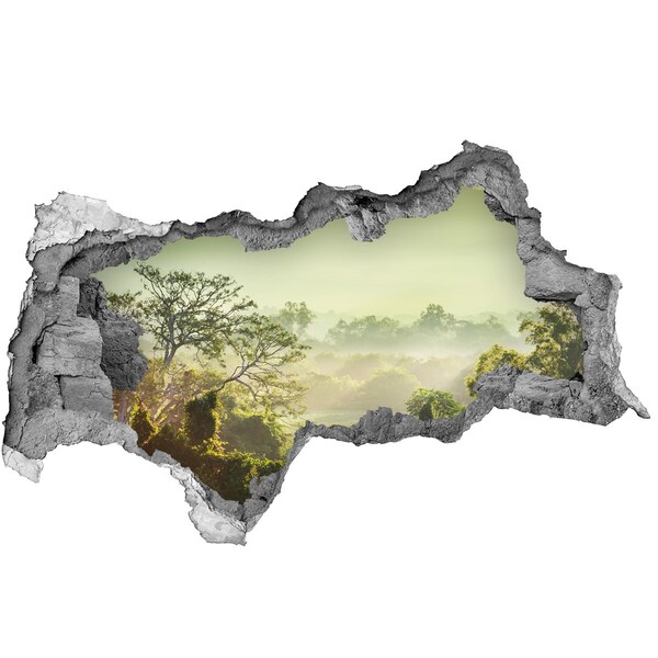 Sticker trou dans le mur Vallée verte dans le brouillard