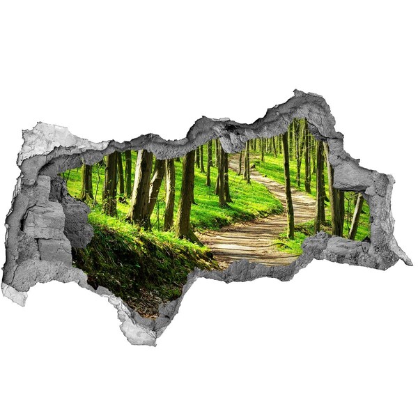 Sticker mural effet trou 3d Sentier forestier au soleil