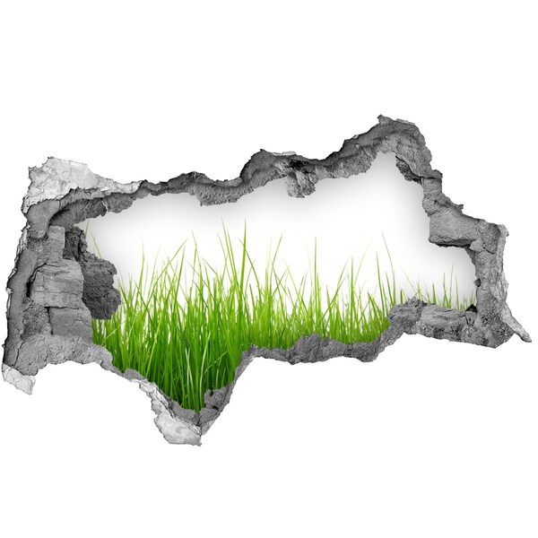 Sticker trou dans le mur Une prairie verdoyante derrière le mur